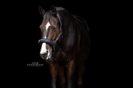 Noseband Mayfare Schwarz