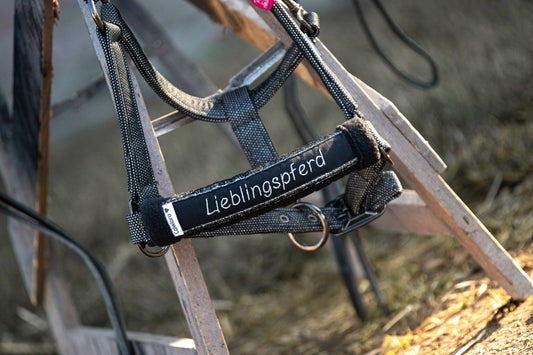 Noseband Sparkle Schwarz-Silber-Verlaufen
