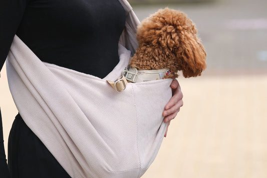 Hunde Umhängetasche