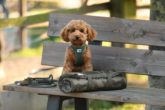 Outdoordecke Camouflage