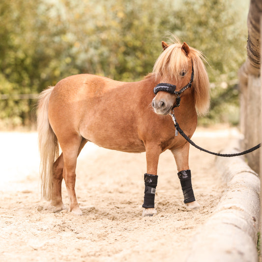 Bandagierunterlagen Mayfare – Mini Shetty