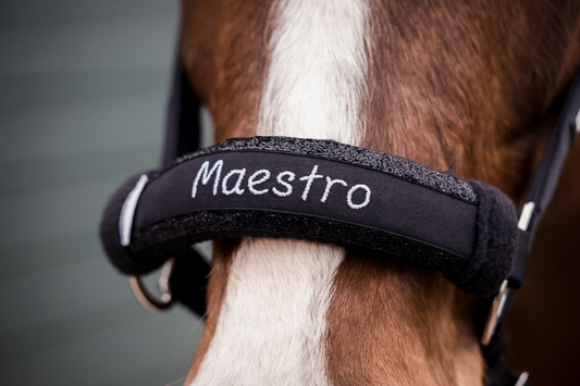 Noseband Sparkle Schwarz