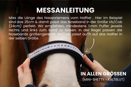 Noseband Blush - Frühjahr 2026