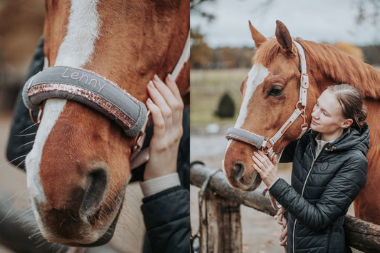 Noseband Mayfare Grau-Rosegold