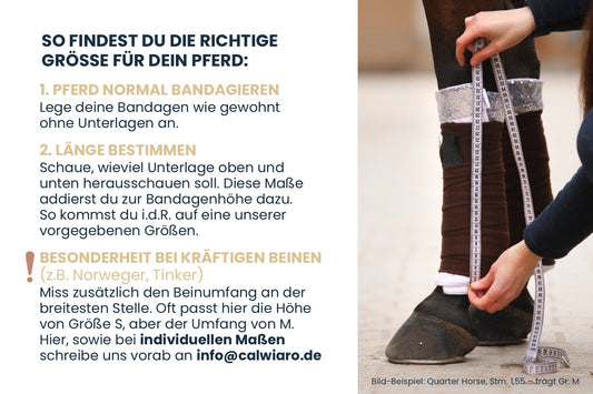 Bandagierunterlagen Golden - Frühjahr 2026