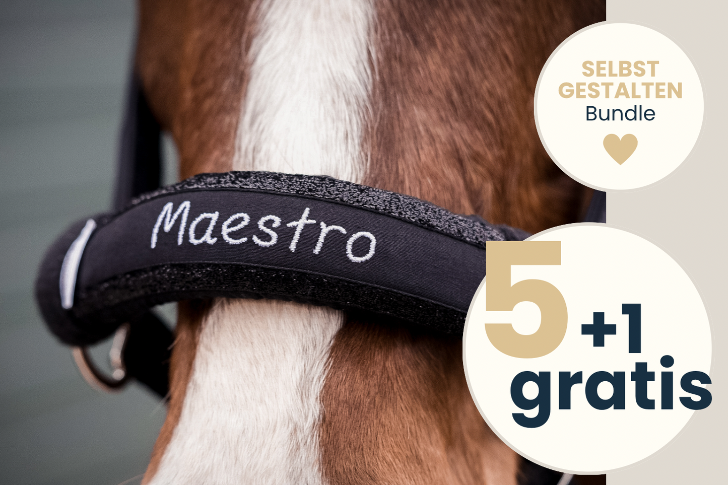 Noseband Sparkle 5+1 Bundle