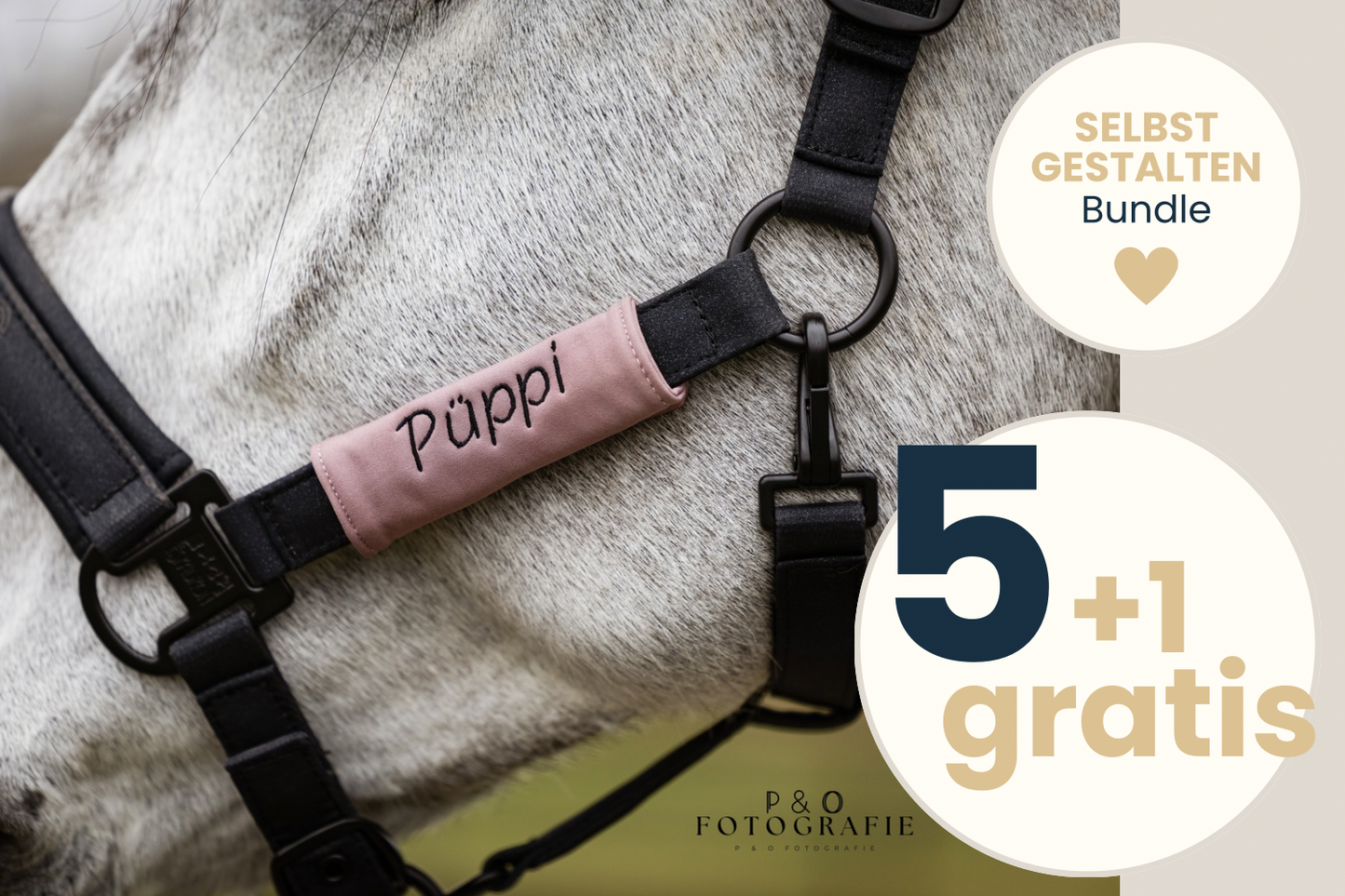 Halfterpad 5+1 Bundle