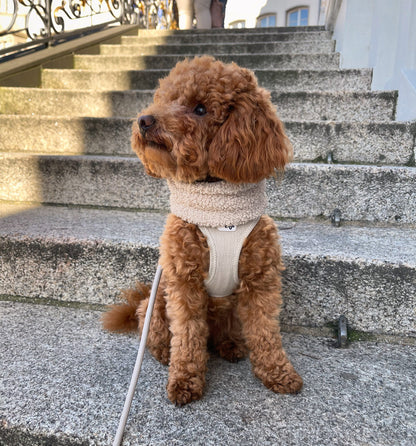 Hunde Loop Fluffy
