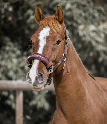Noseband Mayfare Braun