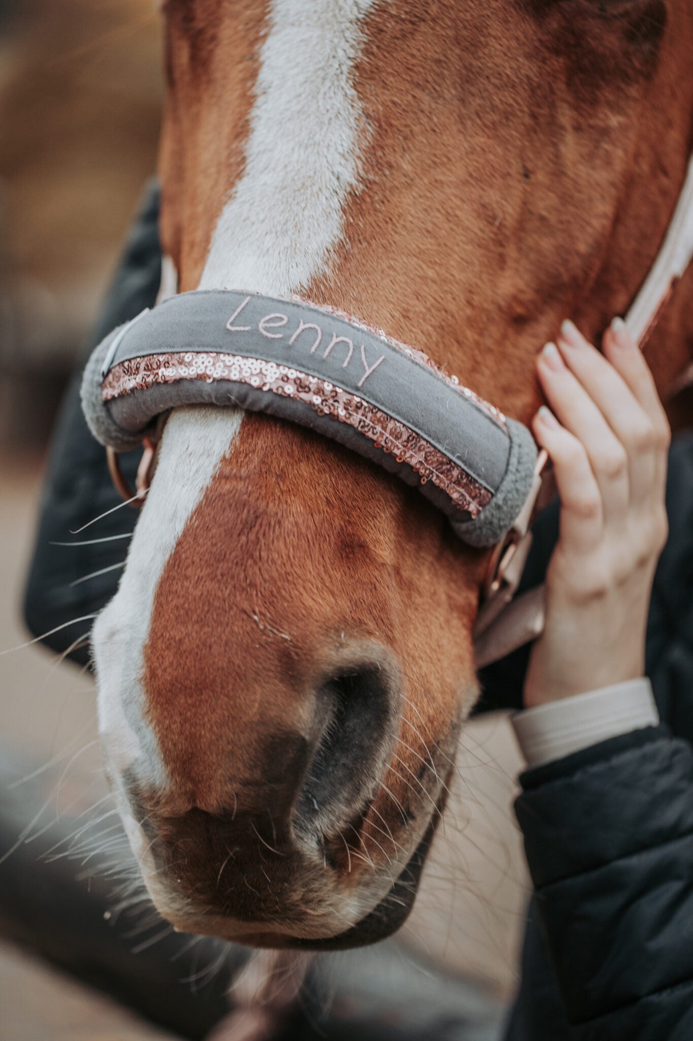 Noseband Mayfare