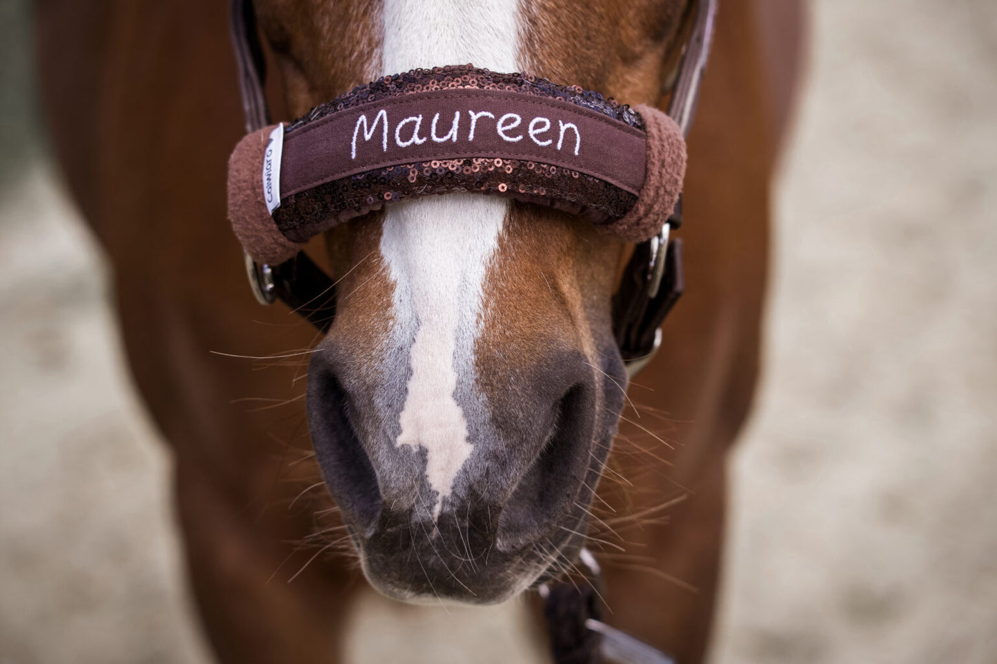 Noseband Mayfare