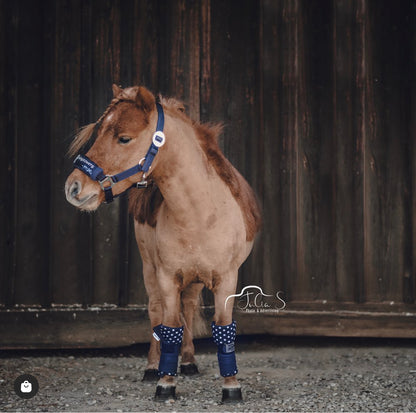 Longier Set Flavor – Mini Shetty