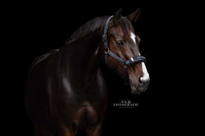 Noseband Mayfare