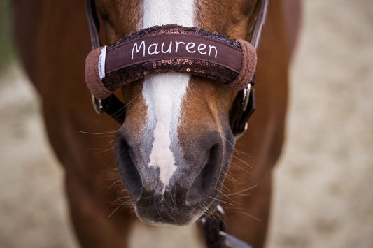 Noseband Mayfare Braun
