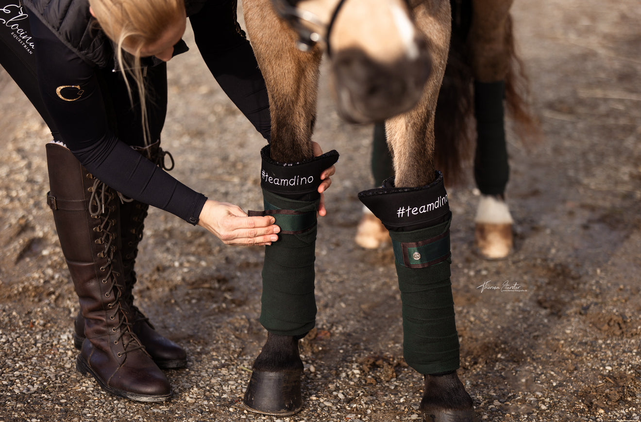 Bandagierunterlagen Pferd mit Name personalisiert