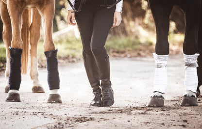 Bandagierunterlagen Pferd mit Glitzer