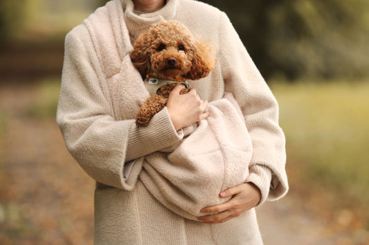 Hunde Umhängetasche Cozy
