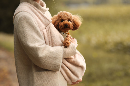 Hunde Umhängetasche Cozy