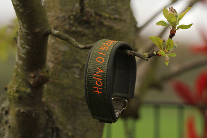 Hunde Halsband mit Name & Telefonnummer - Olive