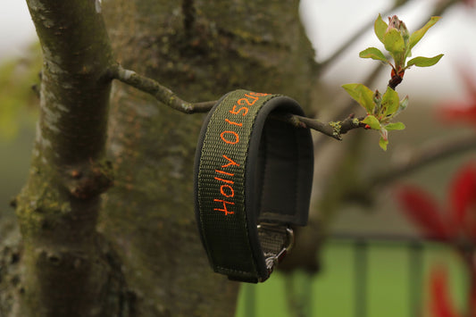 Hunde Halsband mit Name & Telefonnummer - Olive