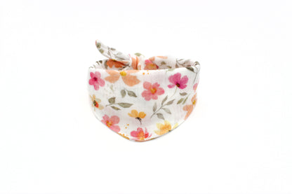Sommerblumen Apricot