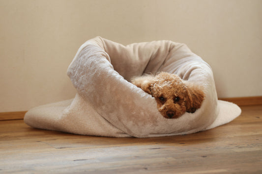 Hundeschlafsack Cozy