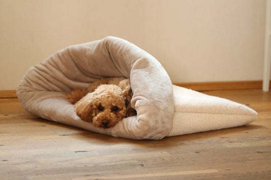 Hundeschlafsack Cozy