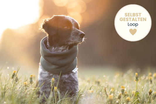 Hunde Loop