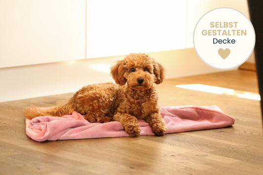 Hundedecke aus Cord