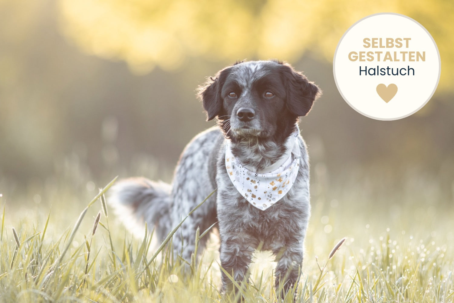 Hundehalstuch mit Hundename