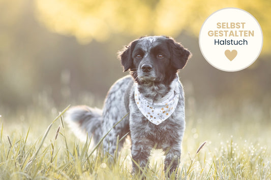 Hundehalstuch mit Hundename