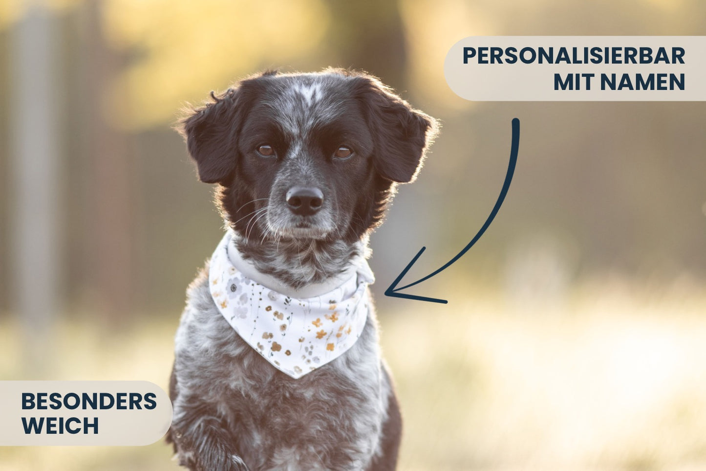 personalisiertes Hundehalstuch bestickt