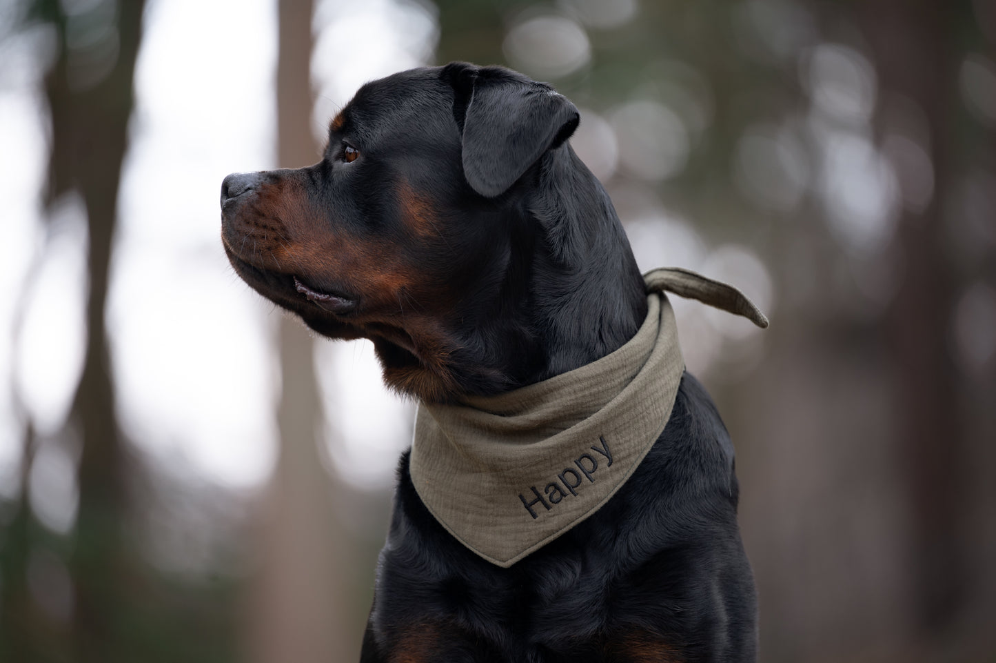 Hundehalstuch mit Name bestickt