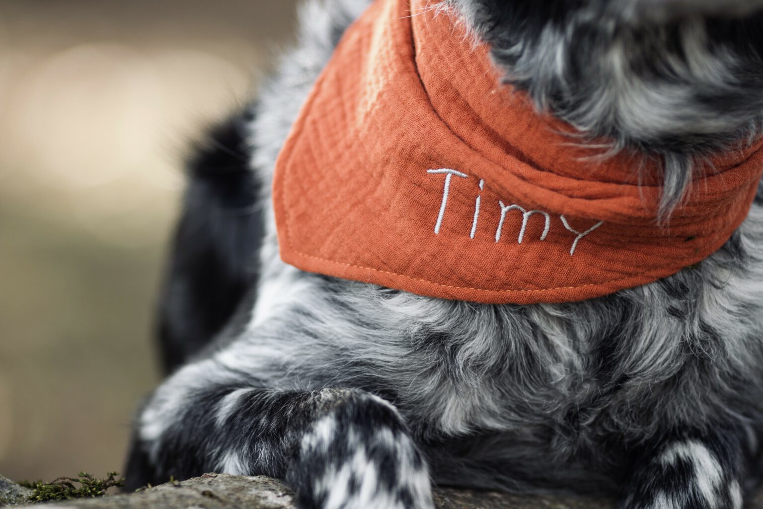 besticktes Hundehalstuch