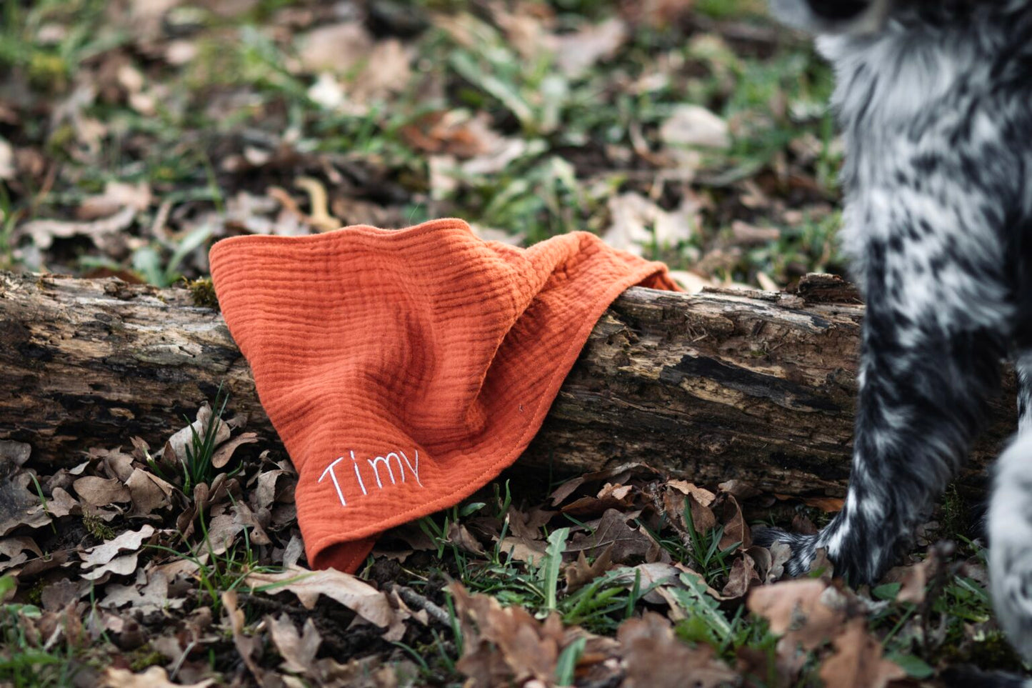 Hundehalstuch Flair