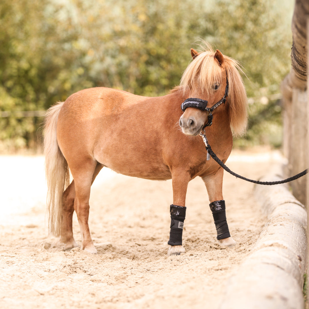 Bandagierunterlagen Mayfare – Mini Shetty