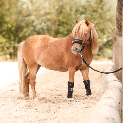 Bandagierunterlagen Mayfare – Mini Shetty