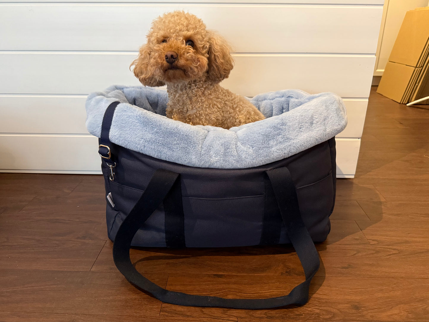 Hundetasche Dunkelblau - M ( (H40xB50xT25cm)
