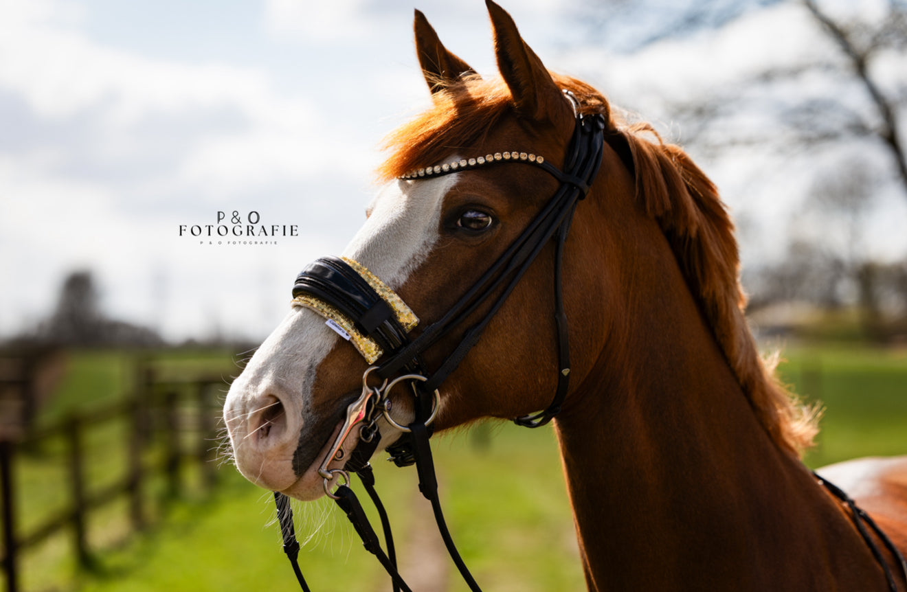 Trensenunterlage Mayfare