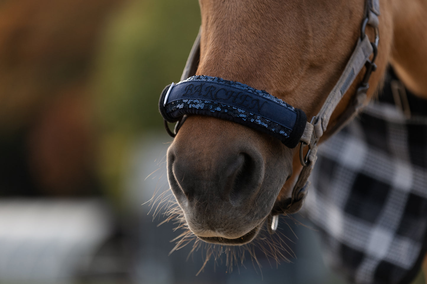 Noseband Mayfare