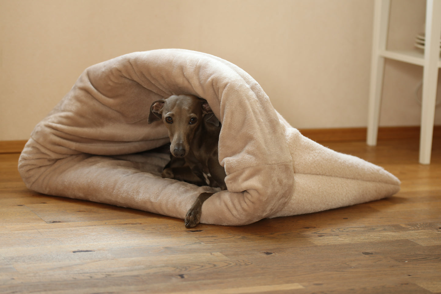 Hundeschlafsack Cozy - H/W 2025