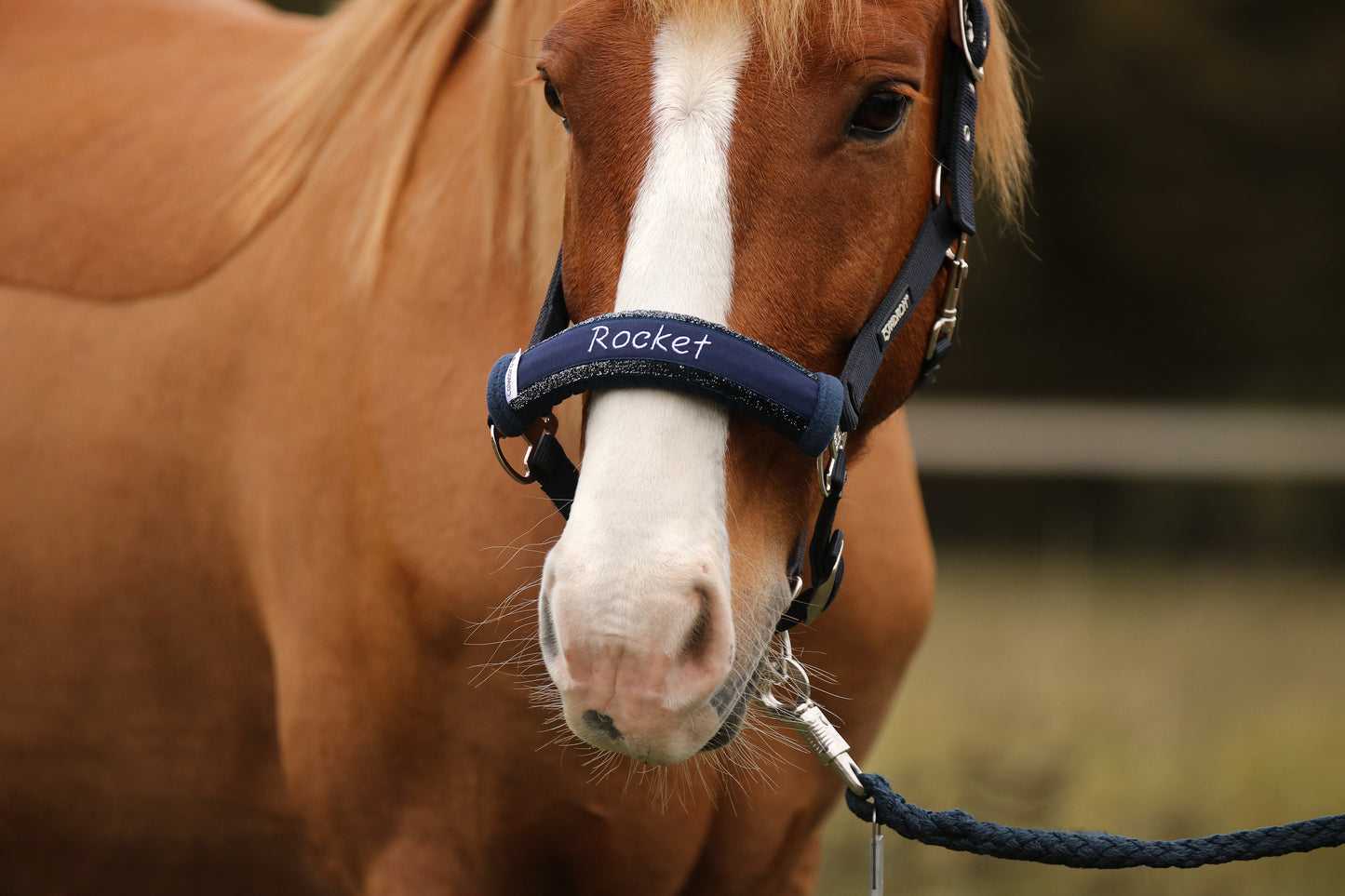 Noseband Sparkle Blau