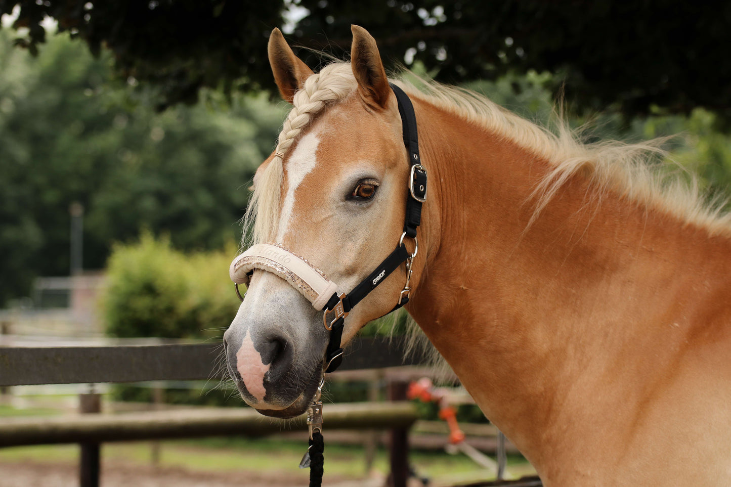 Noseband Mayfair Beige