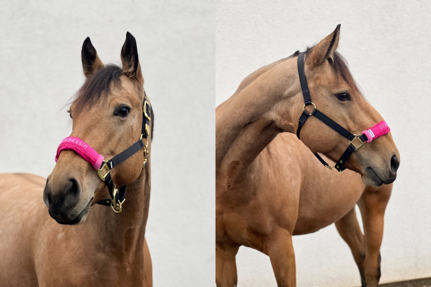 Noseband Mayfare Pink