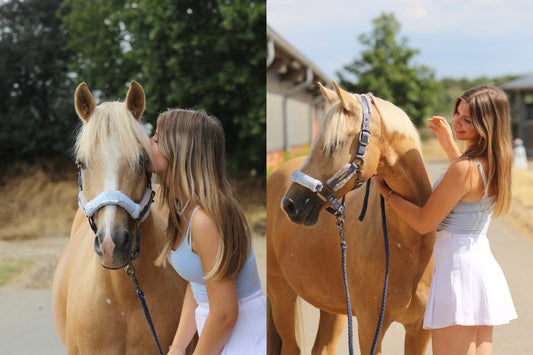 Noseband Mayfare Hellblau