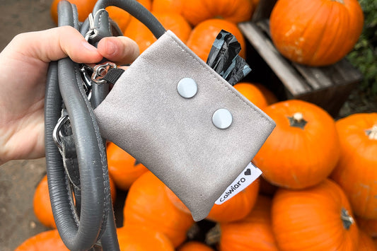 Kotbeutelspender Fauxleder