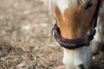 Noseband Sparkle