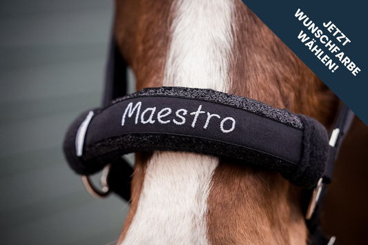 Noseband Sparkle