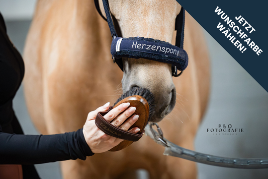 Noseband Mayfare