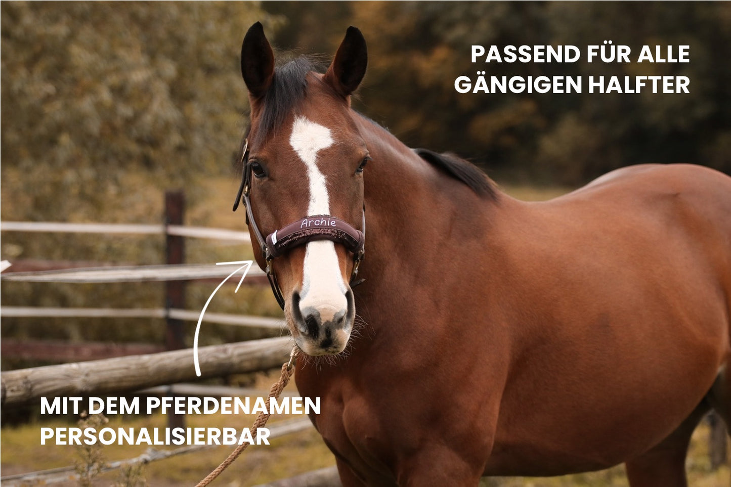 Namensband für Stallhalfter